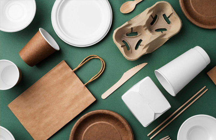 Bát giấy đựng salad: Hướng dẫn phân loại, cách sử dụng và phân trộn