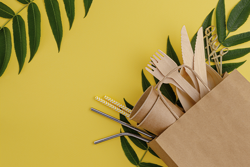 Bộ đồ ăn dùng một lần sẽ gây ô nhiễm môi trường?