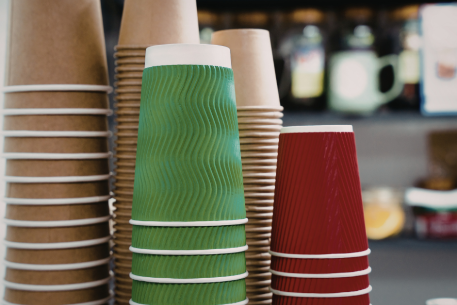 Ly cà phê tường đơn hay tường đôi? Hướng dẫn của nhà sản xuất