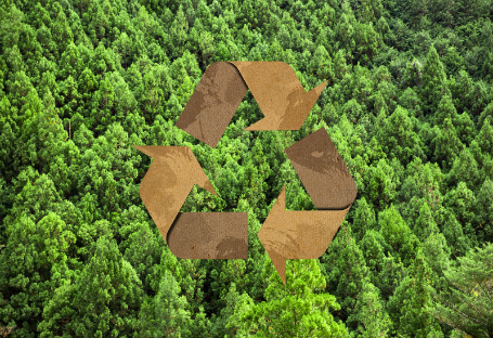 Hướng dẫn của FSC & EUDR & PEFC về mua sắm vật tư phục vụ ăn uống dùng một lần