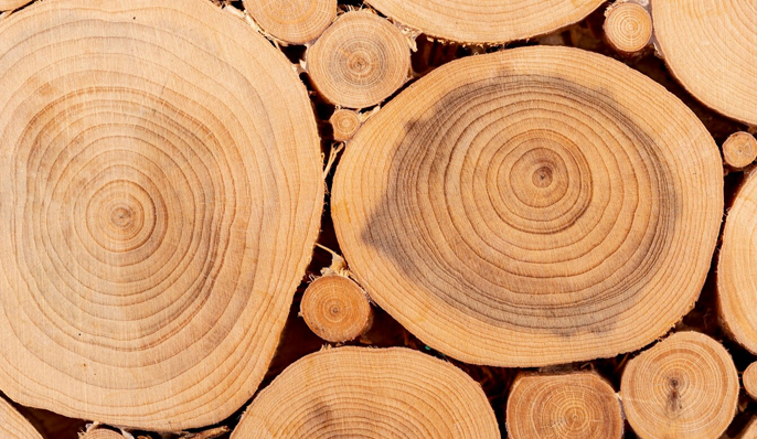 Công ty TNHH Sản phẩm Bao bì Juxian Yongrui